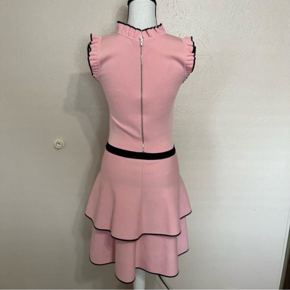 Parker Ryker Ballerina Pink Ruffle Knit Sleeveless Dress Womens Size Medium - Picture 6 of 13